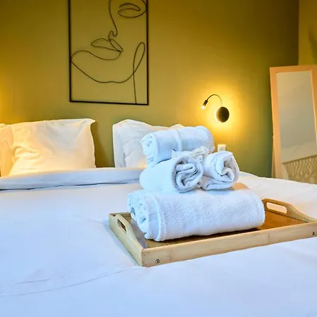 Ng Suitehome - Lille I Barbieux I Montesquieu - 3 - Netflix - Wifi - Kitchenette